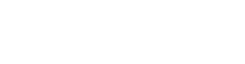 Dear Diary