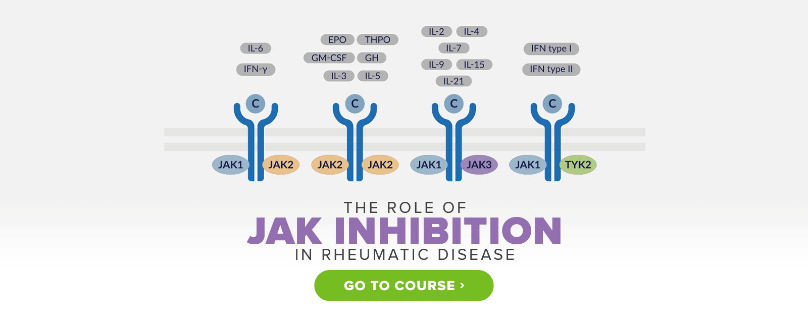 LC-Slides_The-Role-of-JAK-Inhibition_1600x640 (1)