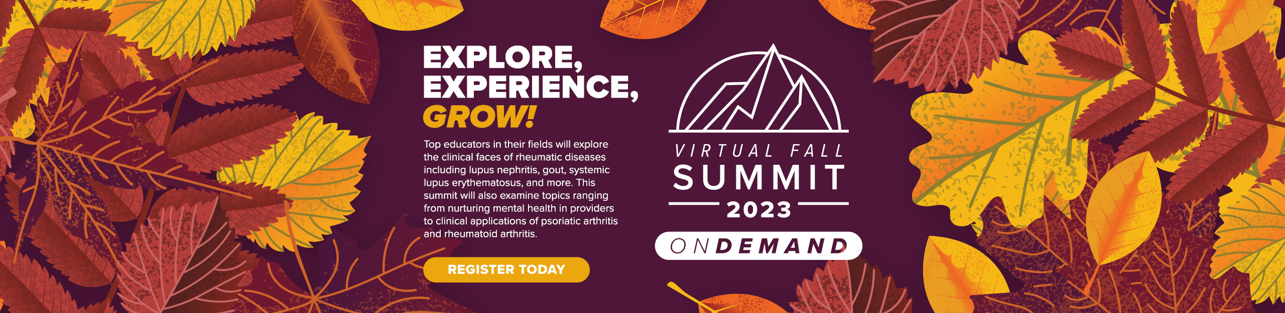 2023 RNS Virtual Fall Summit - OnDemand