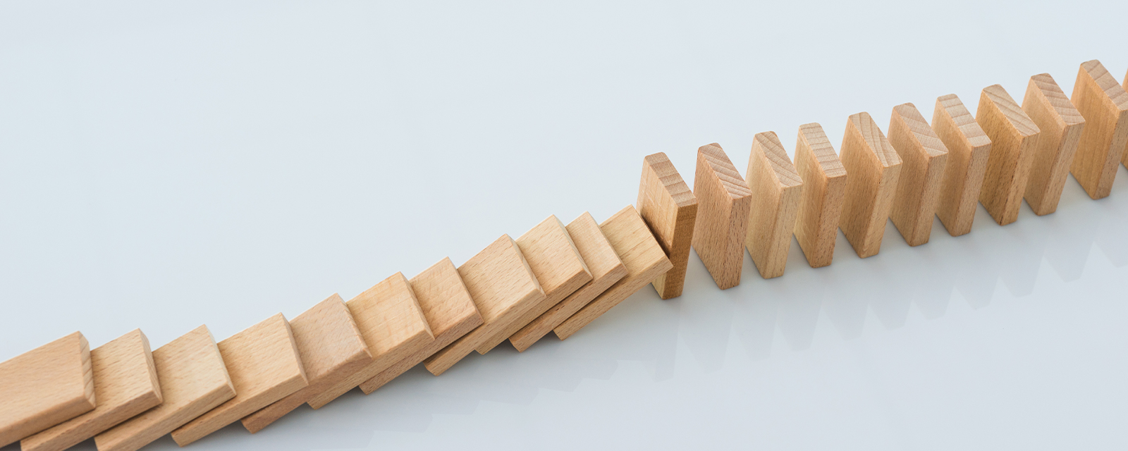 The Little Differences That Can Have a Big Impact