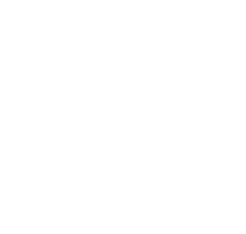 RNS | Lupus Foundation of America